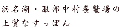 湖・服部中村養鼈場上質なすっぽん